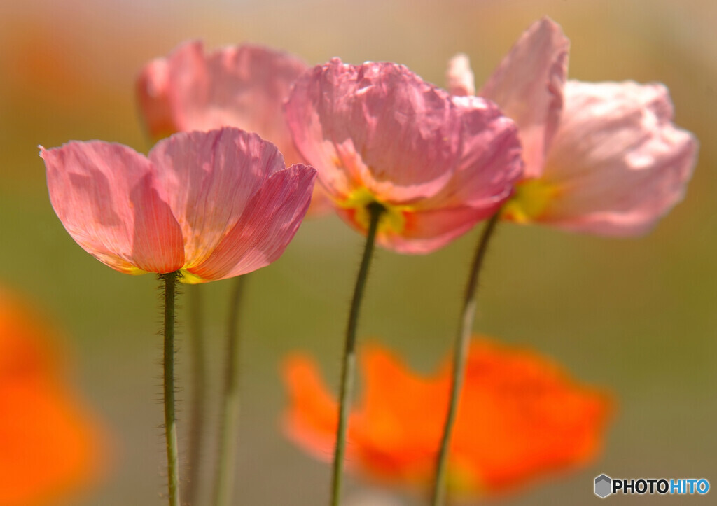 家族の時間・想