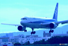 蒼の時✈Boeing 767