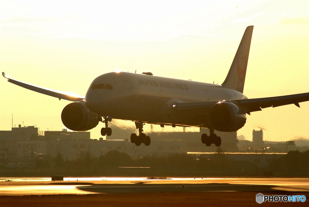 GOOD LUCK!✈Boeing 787-8