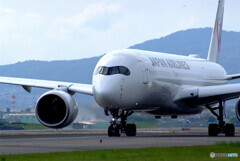 Delusional tripⅦ GW✈JA16XJ