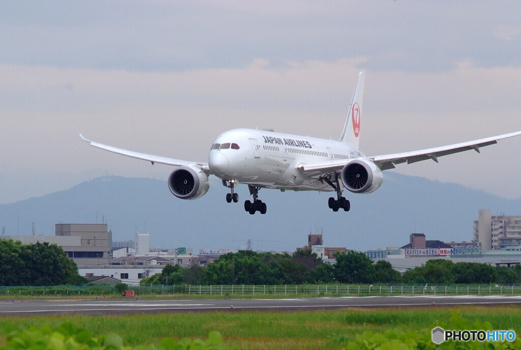 向かい風は未来からの風✈JAL