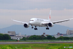 向かい風は未来からの風✈JAL