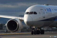 俺の旅路✈787-8 Dreamliner