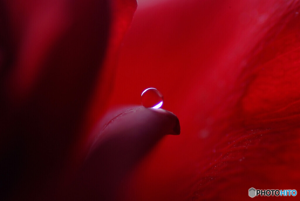 新しい世界へ✿水無月