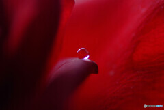 新しい世界へ✿水無月