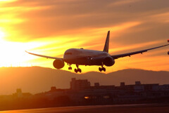 熱き心に✈Boeing787-9