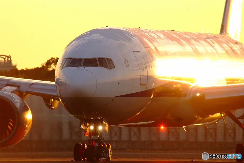 Gold Star・777