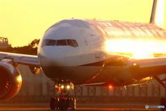 Gold Star・777