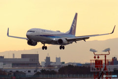 翼を広げて・737