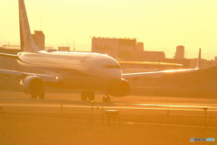 GOLD WING・737