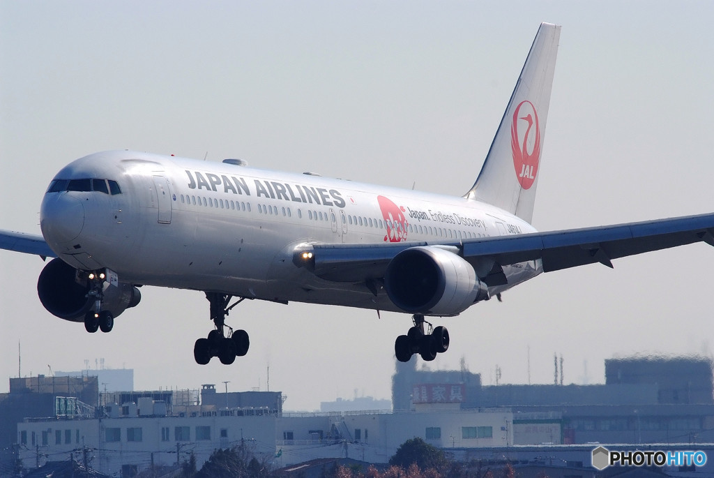 立春の華・JA614J