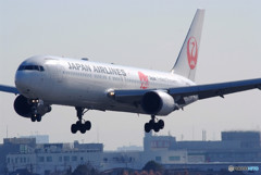 立春の華・JA614J