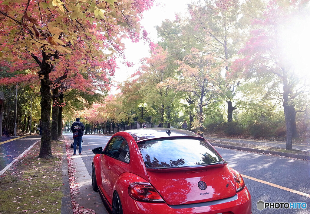 紅葉✾Red Volkswagen