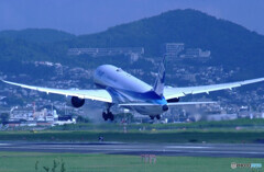 伊丹の空へ✈Dreamliner 