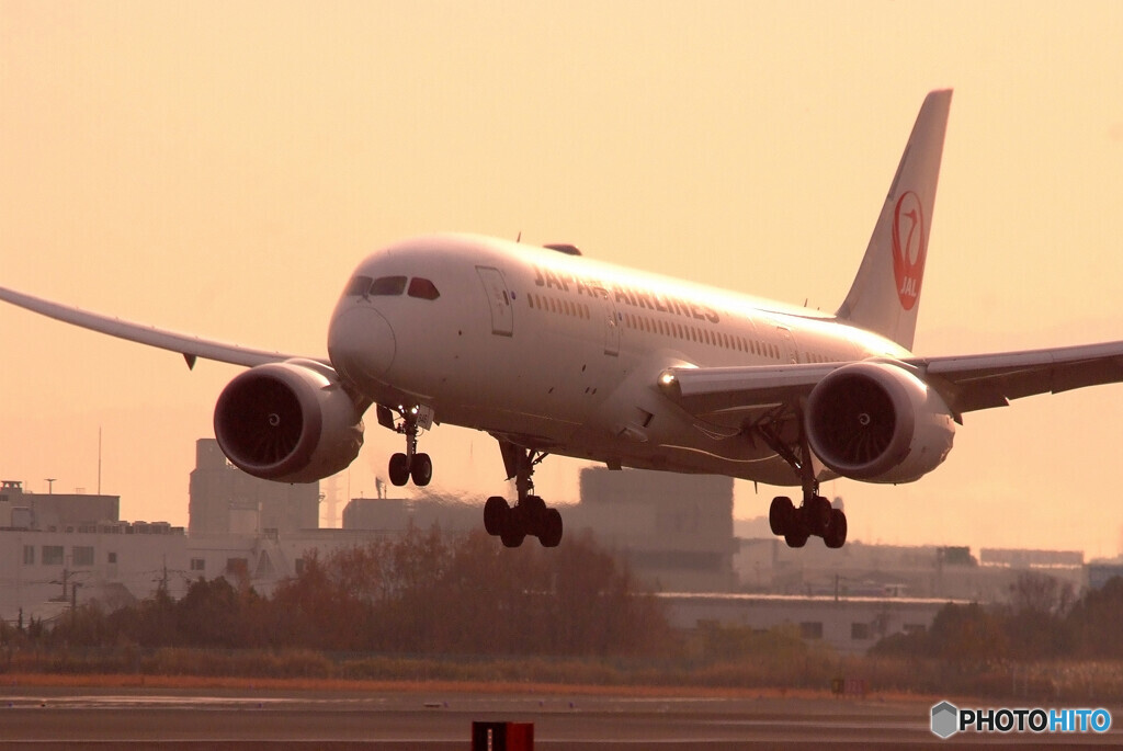 Another Sky★Boeing 787