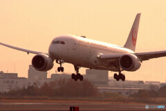 Another Sky★Boeing 787