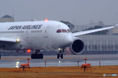 Rainy AirportⅤ✈Dreamliner