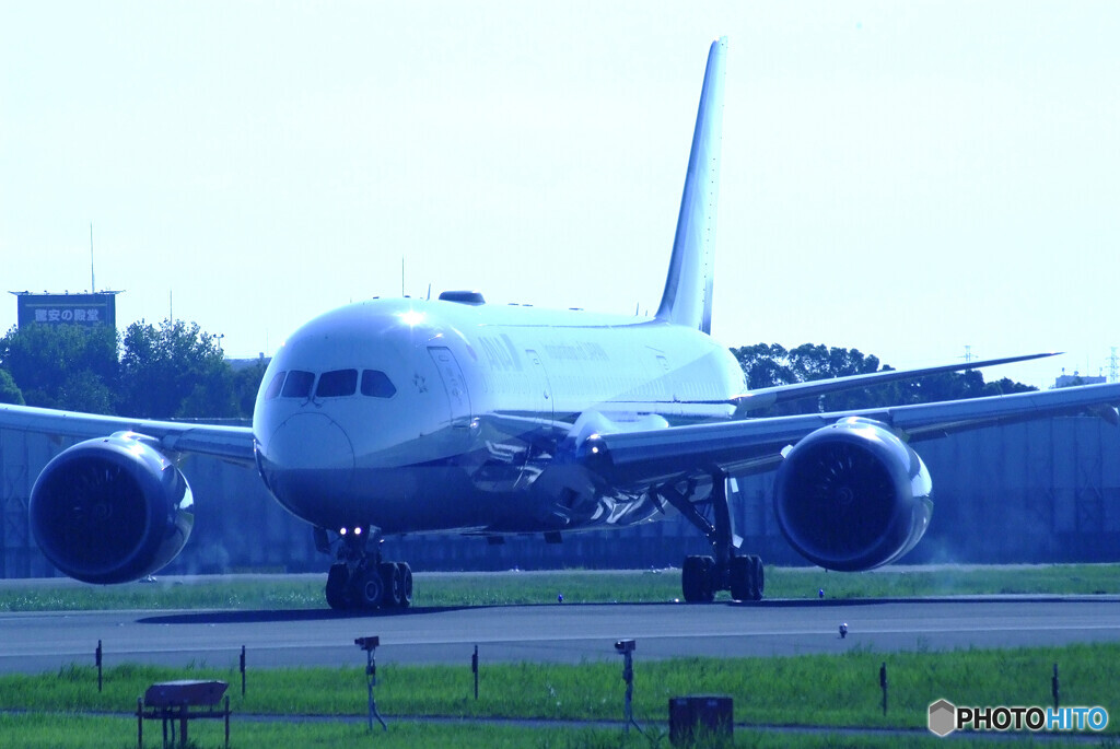 蒼が飛ぶ✈Boeing 787-8