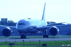 蒼が飛ぶ✈Boeing 787-8