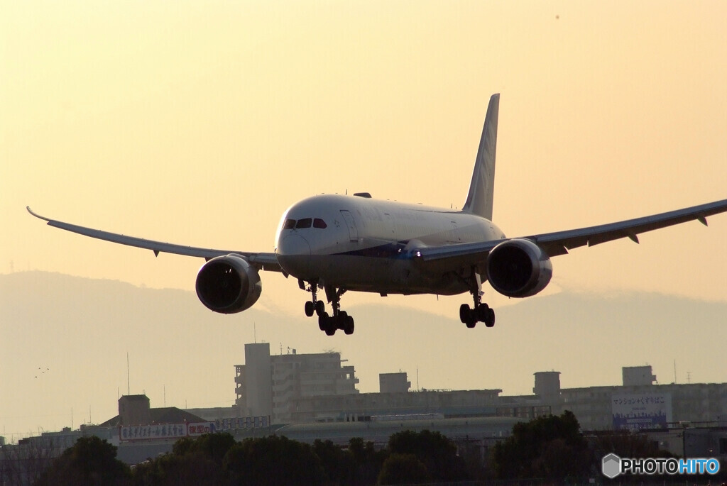 Nice Morning☆Boeing 787-8