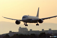 Nice Morning☆Boeing 787-8
