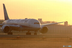 Golden Time✈787
