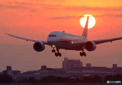 The Sun Rises Again✈787