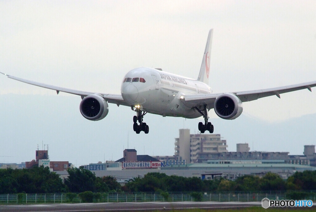 妄想の旅へⅡ✈Dreamliner