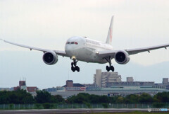 妄想の旅へⅡ✈Dreamliner