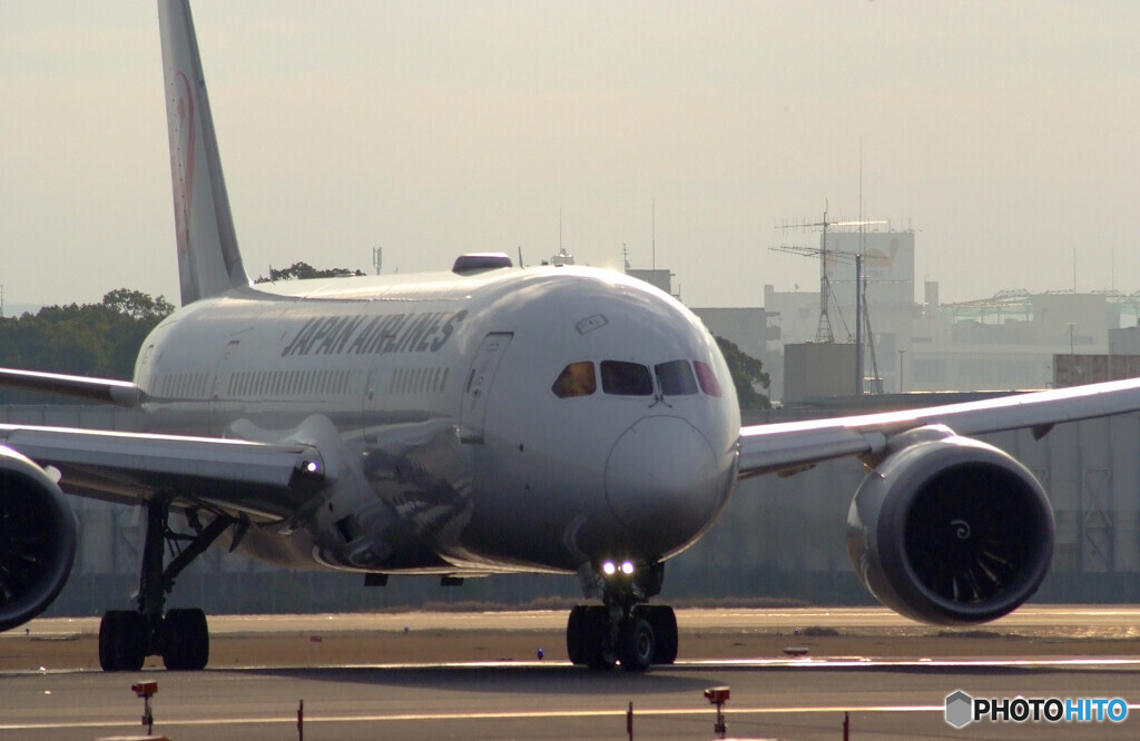 3月の旅人✈JAL Boeing787-8