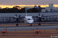 男の旅路✈ANA Wings