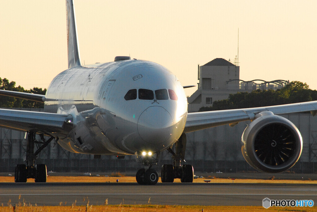 December MorningⅤ✈Boeing787-8