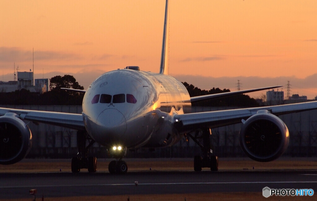 睦月の旅人✈Boeing787-8