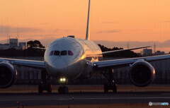 睦月の旅人✈Boeing787-8