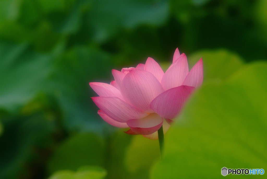 また、お会いしましょう