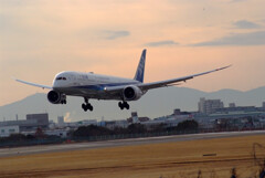 弥生の翼✈Boeing787-Ⅹ