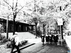 紅葉の下で乙女たちは