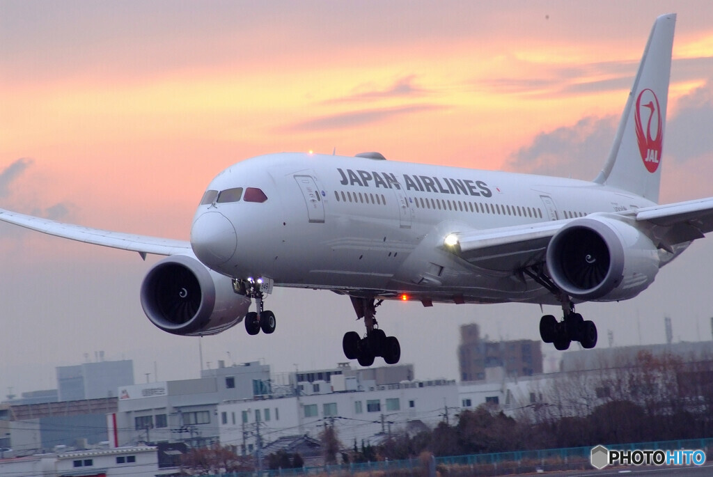 Beautiful Memories✈Boeing 787