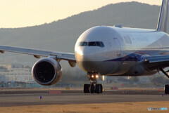 Afternoon of brillianceⅣ✈Boeing777-200