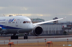 Boeing787-8の翼✈SKYLAND