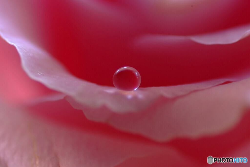 やすらぎの時✾雫