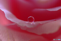 やすらぎの時✾雫