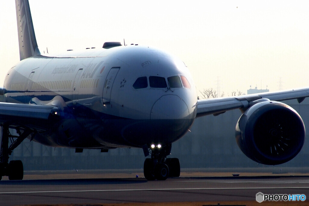 弥生の空へ✈Dreamliner