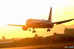 February TravelerⅡ✈Boeing 767