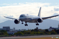 November MorningⅤ✈Boeing787-8