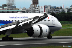 Nice Afternoon✈787-8 Dreamliner