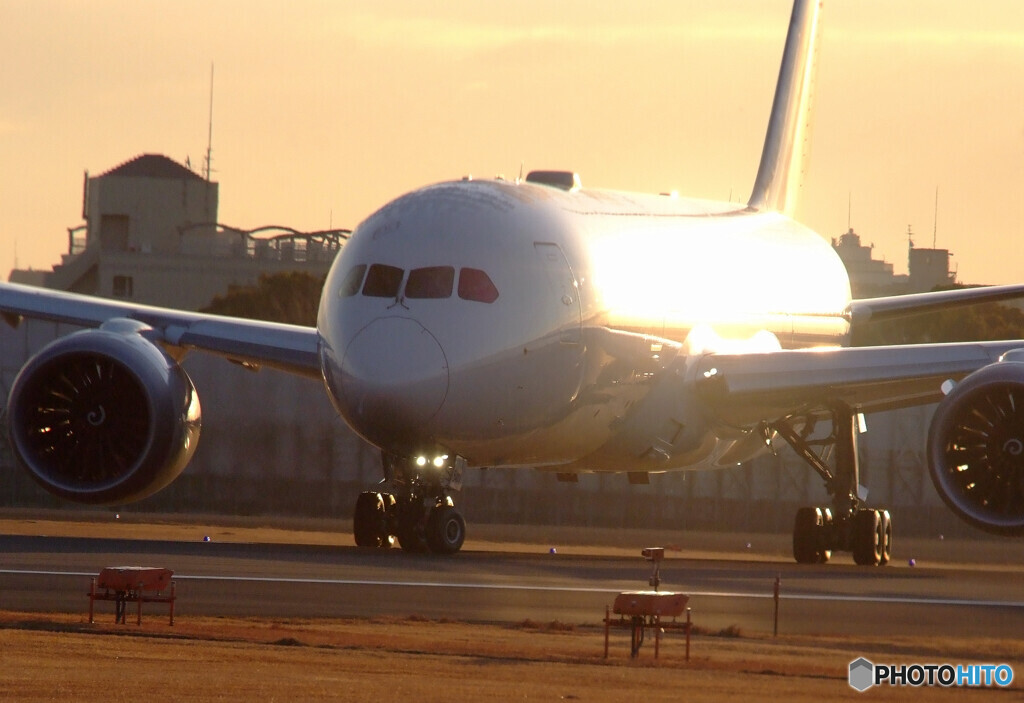 HARADAの朝✈Dreamliner