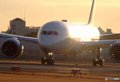HARADAの朝✈Dreamliner
