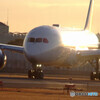 HARADAの朝✈Dreamliner