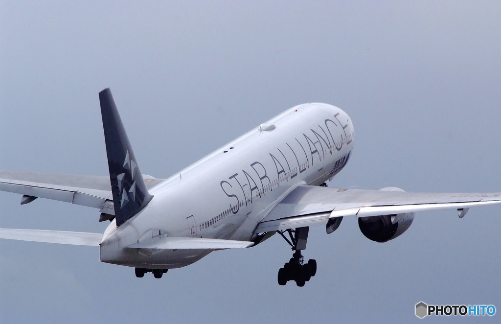 Happy Flight・風